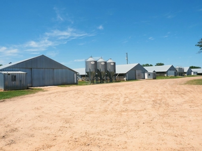 12 House Poultry Farm For Sale Central MS - image 44