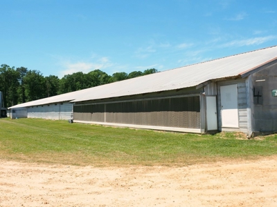 12 House Poultry Farm For Sale Central MS - image 38