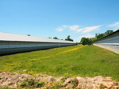 12 House Poultry Farm For Sale Central MS - image 31