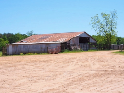 12 House Poultry Farm For Sale Central MS - image 15