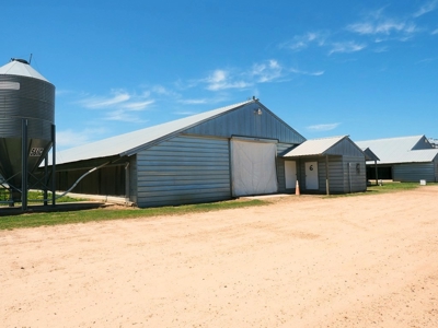 12 House Poultry Farm For Sale Central MS - image 18