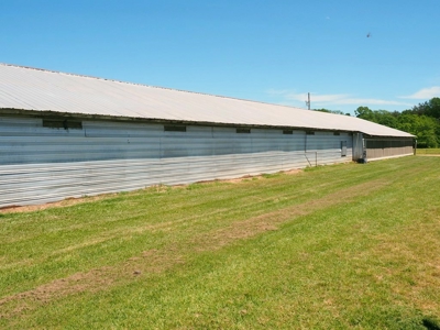 12 House Poultry Farm For Sale Central MS - image 14