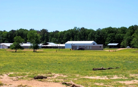 12 House Poultry Farm For Sale Central MS - image 24