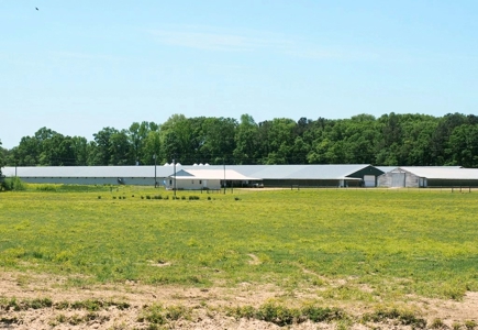 12 House Poultry Farm For Sale Central MS - image 39