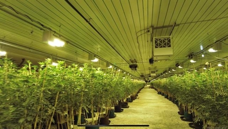 Turn Key Cannabis Grow For Sale on 40 acres - image 16