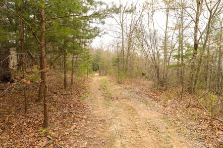 Mountain Retreat for Sale in Riner VA - image 16