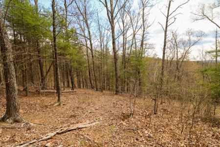 Mountain Retreat for Sale in Riner VA - image 13
