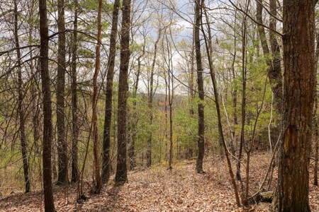 Mountain Retreat for Sale in Riner VA - image 11