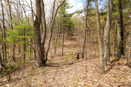 Mountain Retreat for Sale in Riner VA - image 6