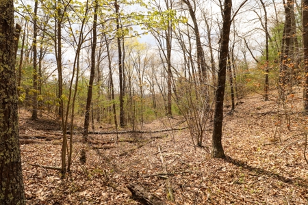 Mountain Retreat for Sale in Riner VA - image 7