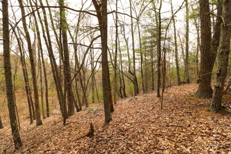 Mountain Retreat for Sale in Riner VA - image 10