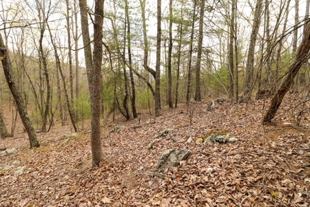 Mountain Retreat for Sale in Riner VA - image 14