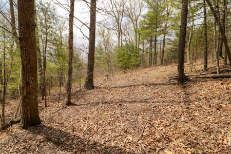 Mountain Retreat for Sale in Riner VA - image 12