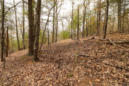 Mountain Retreat for Sale in Riner VA - image 9