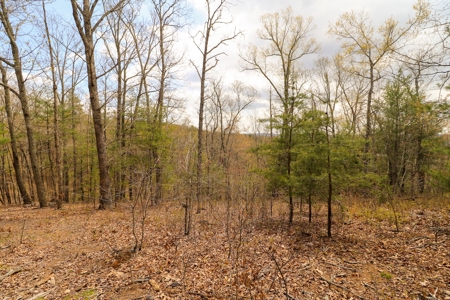Mountain Retreat for Sale in Riner VA - image 1