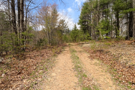 Mountain Retreat for Sale in Riner VA - image 4