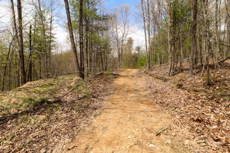 Mountain Retreat for Sale in Riner VA - image 3