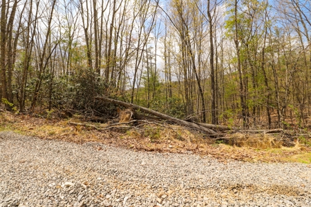 Mountain Retreat for Sale in Riner VA - image 2