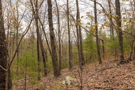 Mountain Retreat for Sale in Riner VA - image 15