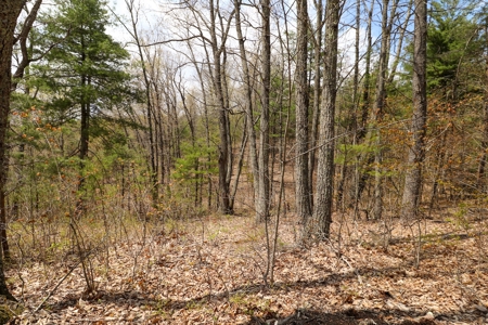 Mountain Retreat for Sale in Riner VA - image 5