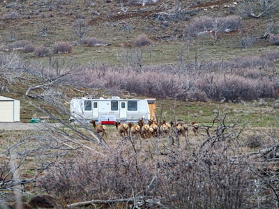Western Colorado Off-Grid Property Bordering BLM - image 42