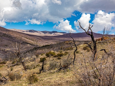 Western Colorado Off-Grid Property Bordering BLM - image 36