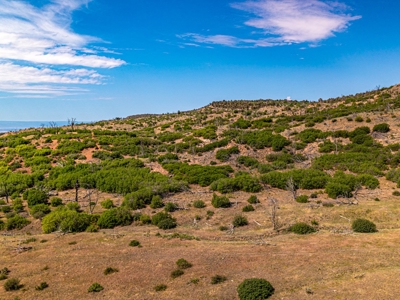 Western Colorado Off-Grid Property Bordering BLM - image 5