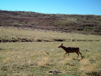 Western Colorado Off-Grid Property Bordering BLM - image 19