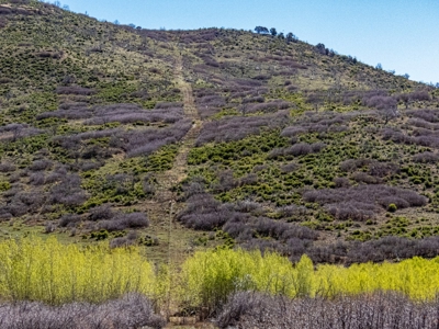 Western Colorado Off-Grid Property Bordering BLM - image 15