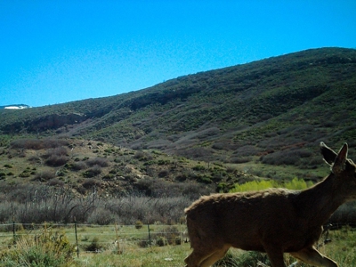 Western Colorado Off-Grid Property Bordering BLM - image 20