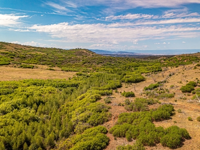 Western Colorado Off-Grid Property Bordering BLM - image 1