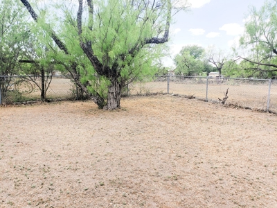 Mertzon, Texas Home and Land for sale near San Angelo - image 8