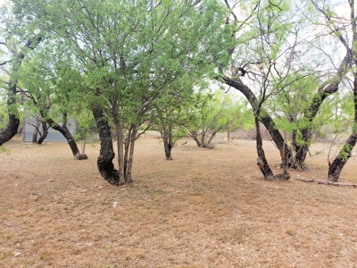Mertzon, Texas Home and Land for sale near San Angelo - image 22