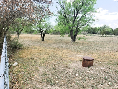Mertzon, Texas Home and Land for sale near San Angelo - image 7