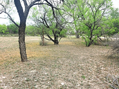 Mertzon, Texas Home and Land for sale near San Angelo - image 12