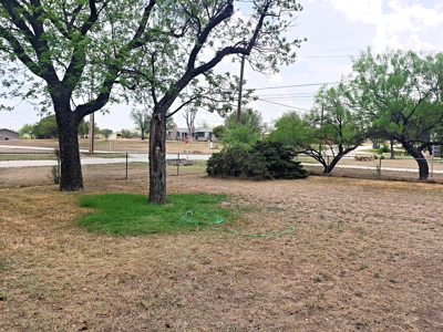 Mertzon, Texas Home and Land for sale near San Angelo - image 35