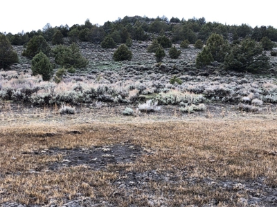 Nevada Recreational Hunting Cattle Horse Ranch For Sale - image 25