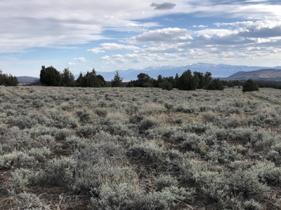 Nevada Recreational Hunting Cattle Horse Ranch For Sale - image 35