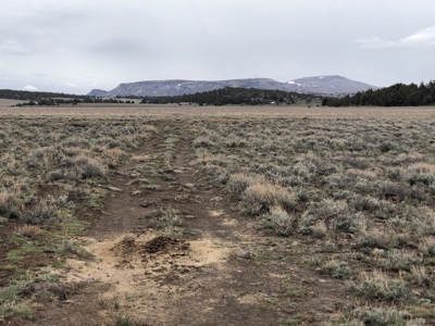 Nevada Recreational Hunting Cattle Horse Ranch For Sale - image 37