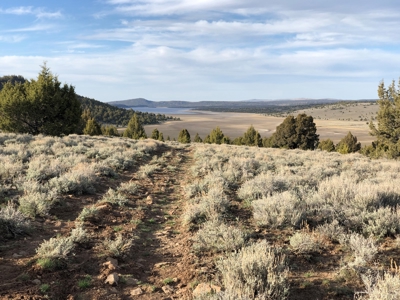 Nevada Recreational Hunting Cattle Horse Ranch For Sale - image 2