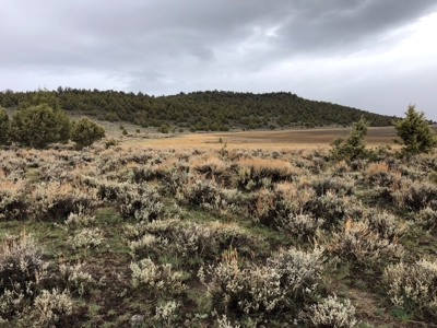 Nevada Recreational Hunting Cattle Horse Ranch For Sale - image 20