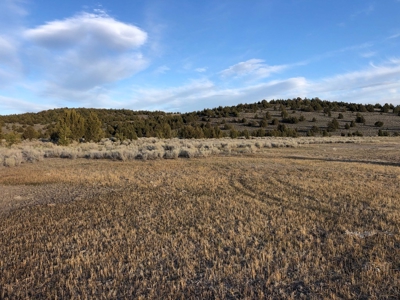Nevada Recreational Hunting Cattle Horse Ranch For Sale - image 16