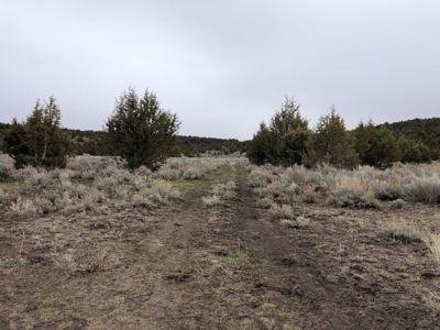 Nevada Recreational Hunting Cattle Horse Ranch For Sale - image 32