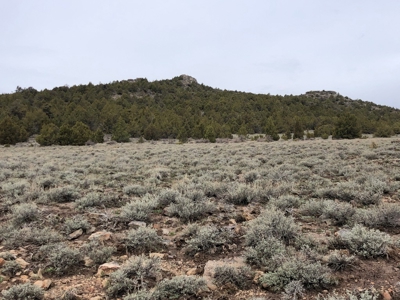Nevada Recreational Hunting Cattle Horse Ranch For Sale - image 36