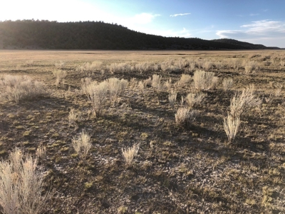 Nevada Recreational Hunting Cattle Horse Ranch For Sale - image 11