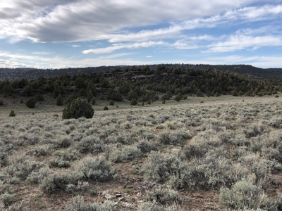 Nevada Recreational Hunting Cattle Horse Ranch For Sale - image 33