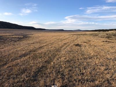 Nevada Recreational Hunting Cattle Horse Ranch For Sale - image 15