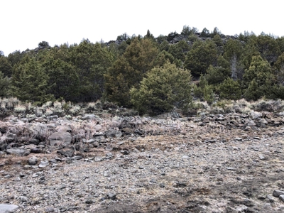 Nevada Recreational Hunting Cattle Horse Ranch For Sale - image 26