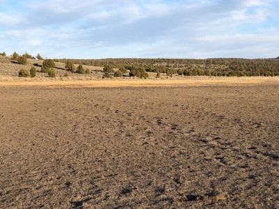 Nevada Recreational Hunting Cattle Horse Ranch For Sale - image 14