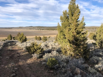 Nevada Recreational Hunting Cattle Horse Ranch For Sale - image 6